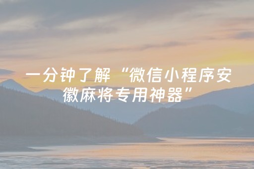 一分钟了解“微信小程序安徽麻将专用神器”（控牌神器)