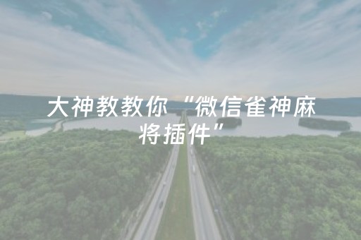 大神教教你“微信雀神麻将插件”（好友房怎么才能赢)