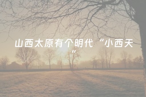 分享玩家攻略“微信财神十三张辅助器下载”（怎么提高胜率)