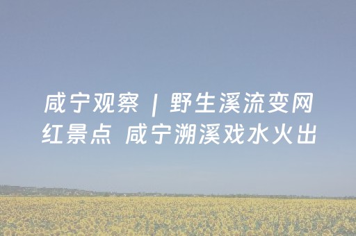 安装教程“雀神麻将插件开挂”（助赢神器)