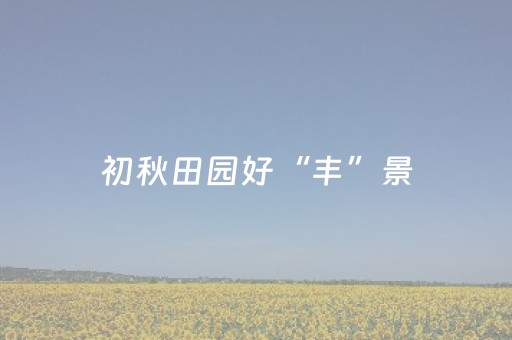 2分钟秒懂“微信打麻将开挂辅助器”（会员会提高胜率吗)