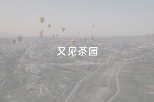 大神教教你“微信小程序海南麻将助赢神器”（透明挂辅助器)