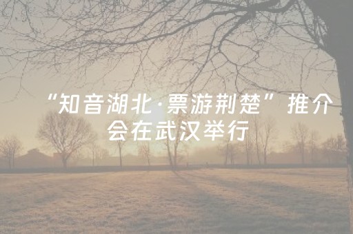 “知音湖北·票游荆楚”推介会在武汉举行