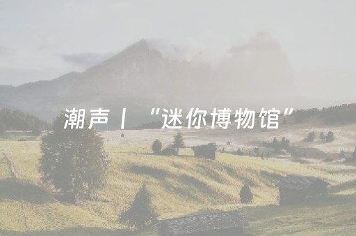 一分钟揭秘“微信小程序捉鸡麻将控牌器”（助攻神器)