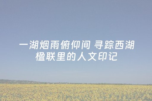 一分钟了解“微信小程序江西红中麻将规律”（控牌器)