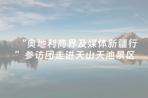 “奥地利商界及媒体新疆行”参访团走进天山天池景区