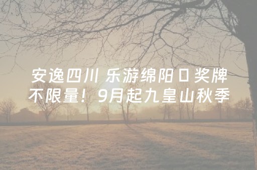 厉害了“麻将助赢神器”（开挂神器下载)