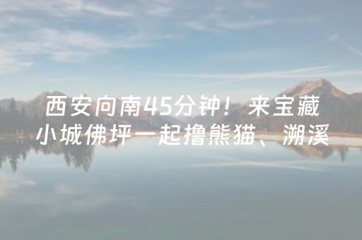 分享玩家攻略“微信小程序广西麻将怎么让系统发好牌”（控牌神器)