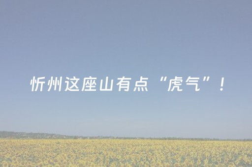 大神教教你“微信小程序宁夏麻将怎么提高胜率”（开挂辅助器脚本)