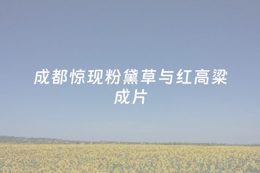 玩家必看科普“微信小程序江苏麻将助赢神器购买”（输赢规律)