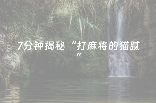 7分钟揭秘“打麻将的猫腻”（自建房怎么赢)