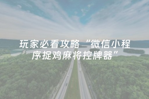 玩家必看攻略“微信小程序捉鸡麻将控牌器”（万能开挂神器)