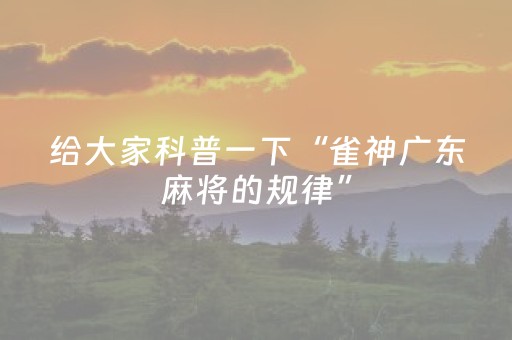 给大家科普一下“雀神广东麻将的规律”（助赢神器购买)