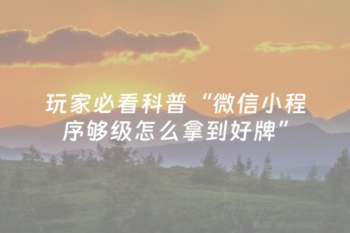 玩家必看科普“微信小程序够级怎么拿到好牌”（充会员胜率高)