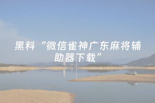 黑料“微信雀神广东麻将辅助器下载”（自建房怎么赢)