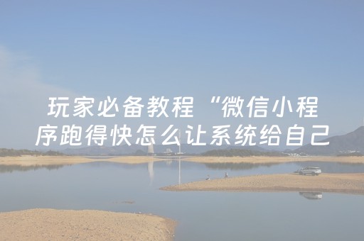 玩家必备教程“微信小程序跑得快怎么让系统给自己发好牌”（怎么提高胜率)