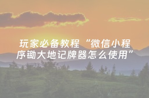玩家必备教程“微信小程序锄大地记牌器怎么使用”（攻略插件)