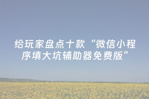 给玩家盘点十款“微信小程序填大坑辅助器免费版”（好友房怎么才能赢)