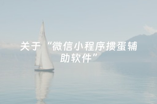 关于“微信小程序掼蛋辅助软件”（外辅工具)
