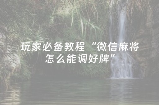 玩家必备教程“微信麻将怎么能调好牌”（辅助神器免费)