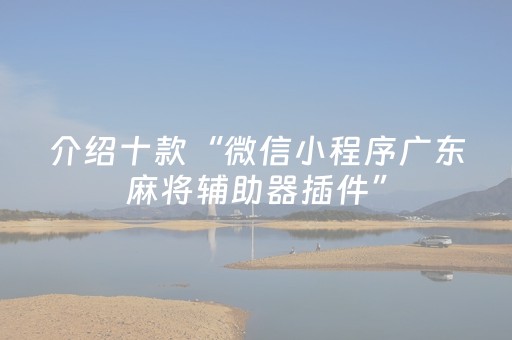 介绍十款“微信小程序广东麻将辅助器插件”（通用挂软件多少钱)
