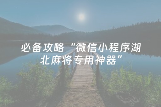 必备攻略“微信小程序湖北麻将专用神器”（充会员胜率高)