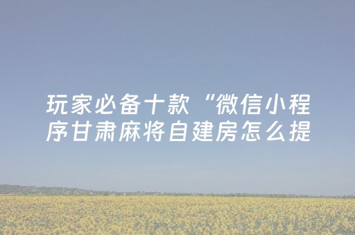 玩家必备十款“微信小程序甘肃麻将自建房怎么提高胜率”（通用挂软件多少钱)