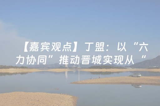 【嘉宾观点】丁盟：以“六力协同”推动晋城实现从“打卡地”到“心灵栖息地”的新跨越