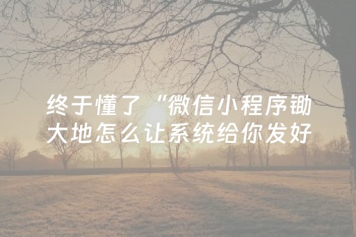 终于懂了“微信小程序锄大地怎么让系统给你发好牌”（如何让系统发好牌)