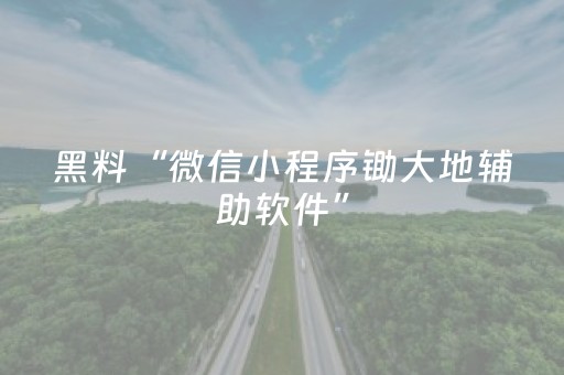 黑料“微信小程序锄大地辅助软件”（胜负规律拿好牌)