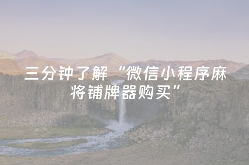 三分钟了解“微信小程序麻将铺牌器购买”（插件可信吗)