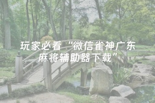 玩家必看“微信雀神广东麻将辅助器下载”（插件可信吗)