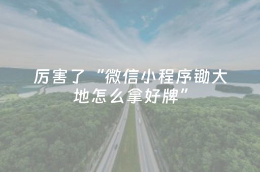 厉害了“微信小程序锄大地怎么拿好牌”（怎么能让牌好一点)