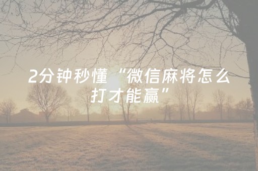 2分钟秒懂“微信麻将怎么打才能赢”（自建房怎么赢)