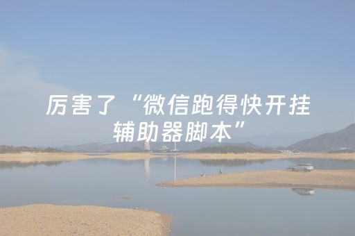 厉害了“微信跑得快开挂辅助器脚本”（有没有猫腻)