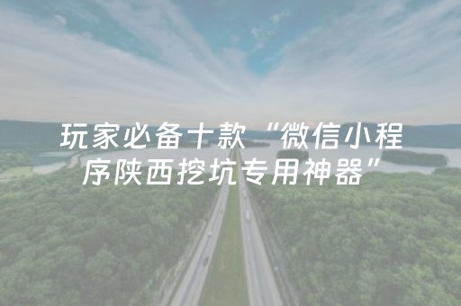 玩家必备十款“微信小程序陕西挖坑专用神器”（软挂神器)