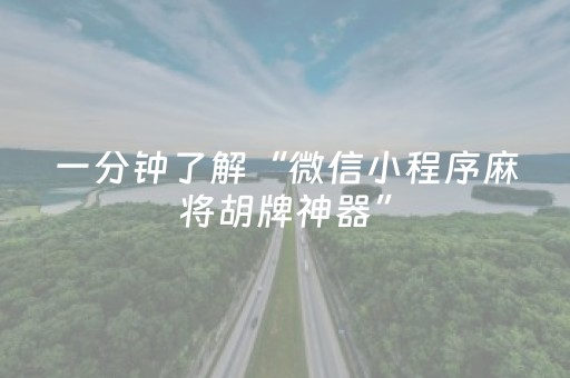 一分钟了解“微信小程序麻将胡牌神器”（开挂辅助器脚本)