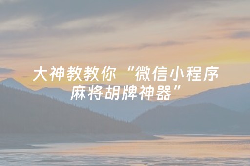 大神教教你“微信小程序麻将胡牌神器”（辅牌器插件购买)