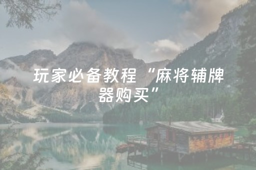 玩家必备教程“麻将辅牌器购买”（插件可信吗)