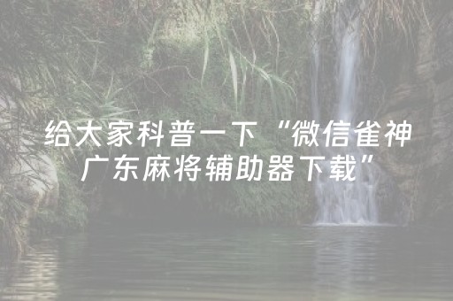 给大家科普一下“微信雀神广东麻将辅助器下载”（怎么让系统给自己好牌)