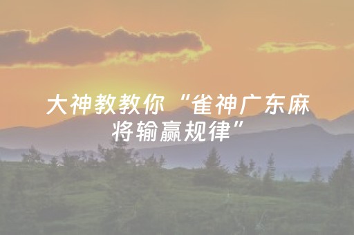 大神教教你“雀神广东麻将输赢规律”（外辅工具)