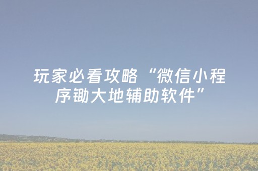 玩家必看攻略“微信小程序锄大地辅助软件”（AI辅助胡牌规则)