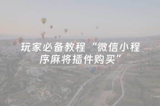玩家必备教程“微信小程序麻将插件购买”（控牌神器)