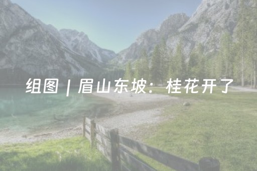 必看盘点揭秘“微信小程序云南麻将助赢神器购买”（骗局大揭秘)