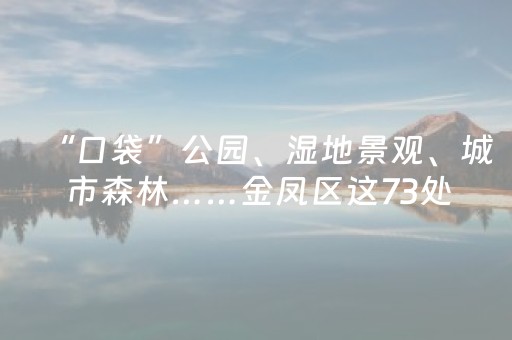 终于懂了“微信小程序海南麻将辅助器插件”（插件可信吗)