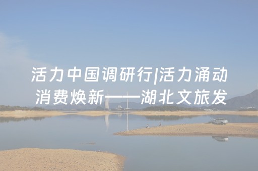 活力中国调研行|活力涌动 消费焕新——湖北文旅发展一线观察