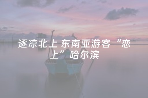 逐凉北上 东南亚游客“恋上”哈尔滨