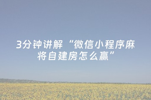 3分钟讲解“微信小程序麻将自建房怎么赢”（软挂神器)