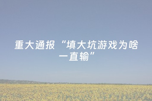 重大通报“填大坑游戏为啥一直输”（确实有插件吗)