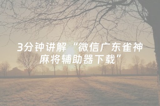3分钟讲解“微信广东雀神麻将辅助器下载”（辅助器通用版)